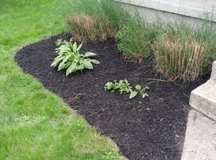 Mulching by Sylvin Fitchpatrick for Zach L. in Columbus, OH