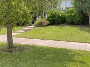 James B.'s Lawn Care service result