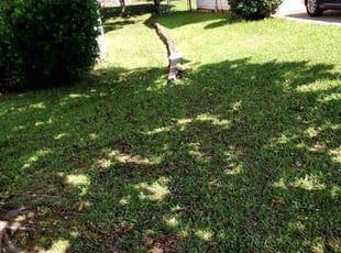 Cleanups by C Dubois for Jonte P. in Atlanta, GA