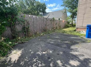 Bush Trimming by Julian Carrero for Winchester B. in Hartford, CT