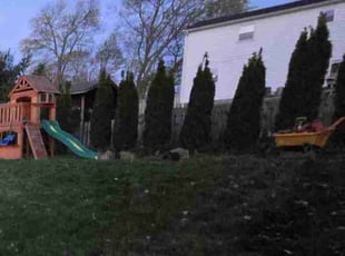 Bush Trimming by Kevin Estrada for Susan F. in Wickliffe, OH