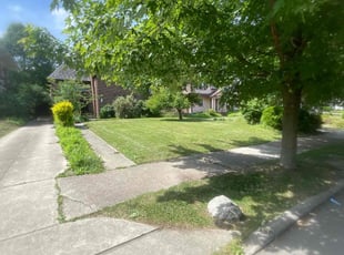 Ty G.'s Lawn Maintenance service result