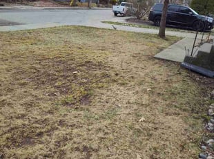 Leaf Removal by Christina Costin for Lesli Y. in Spokane, WA