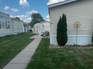 Anne B.'s Lawn Mowing service result