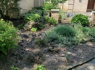Weeding by Brandon Werner for Terry F. in West Bloomfield Township, MI