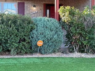 Bush Trimming by Justin Hands for Donna L. in Denver, CO