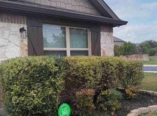 Bush Trimming by Mark Carrizales for Michelle O. in San Antonio, TX