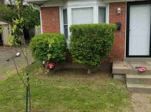 Bush Trimming by Jaden Benn for Cecelia B. in Louisville, KY