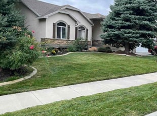 Elena G.'s Lawn Mowing service result