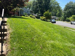 Jaime R.'s Yard Cutting service result