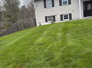 Maggie M.'s Yard Cutting service result