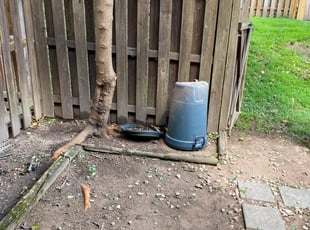 Cleanups by Angel P. for Kathleen C. in Alexandria, VA