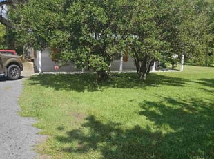 Giovonna P.'s Lawn Maintenance service result