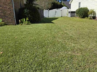 Michelle P.'s Lawn Mowing Service service result