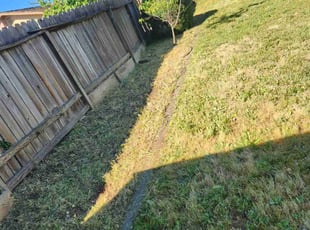 Cleanups by Juan Rodriguez for Jan M. in Rocklin, CA