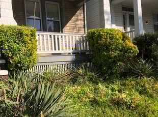 Bush Trimming by Aaron Kinchen for Terry j. in Richmond, VA