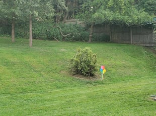 Jeffrey E.'s Lawn Mowing Service service result