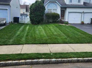 Hung H.'s Lawn Service service result