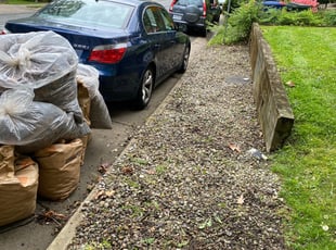 Cleanups by Angel P. for Mark R. in Falls Church, VA