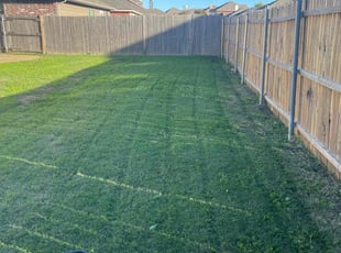 Brooke K.'s Lawn Mowing service result