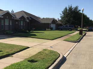 Hyeonsup L.'s Lawn Mowing Service service result