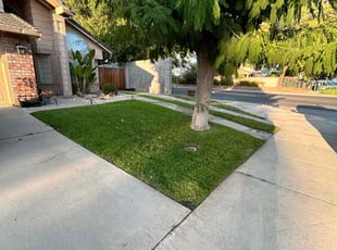 Sharon M.'s Lawn Maintenance service result