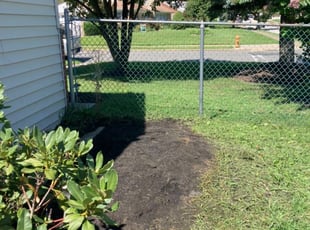 Weeding by Curt Woods for Donn G. in Philadelphia, PA