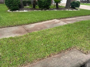Leaf Removal by Oswaldo Hernandez for Micah B. in Katy, TX