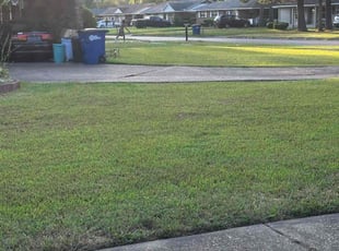 Donald H.'s Lawn Care service result