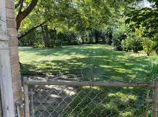 Neita T.'s Lawn Mowing service result