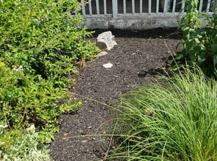 Weeding by Matt Webb for Theresa J. in Luzerne, PA