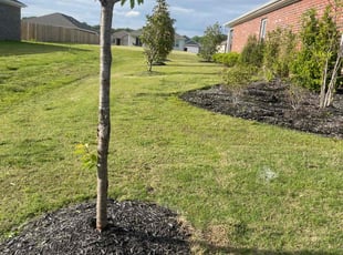 Rama T.'s Lawn Service service result