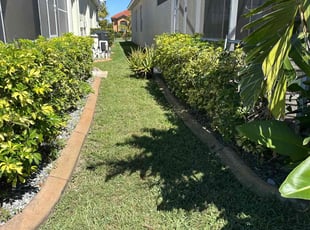 Nikolaus B.'s Lawn Mowing Service service result