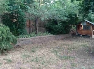Bush Trimming by Laray Silz for Kelley K. in Arvada, CO