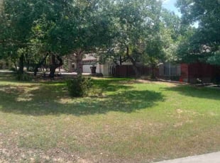 Cleanups by Pedro Tamez for Christina B. in San Antonio, TX