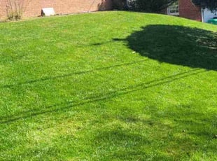 Jim_Carla A.'s Yard Cutting service result