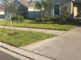 Landscaping by Jeremy King for Alex p. in Riverview, FL