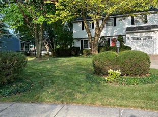 Jen P.'s Lawn Care service result