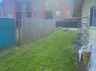Michael T.'s Lawn Mowing service result