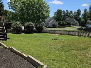 Michael M.'s Lawn Care service result