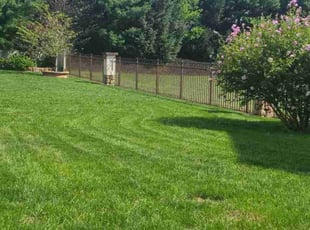 Michele A.'s Lawn Maintenance service result
