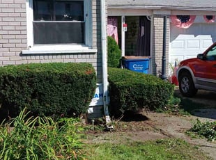 Bush Trimming by David Rider for Michelle S. in Warren, MI