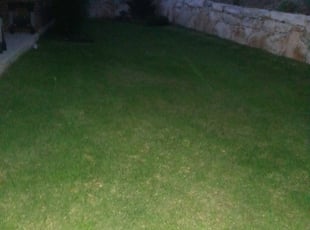 Weeding by Benjamin Garza for Barett A. in San Antonio, TX