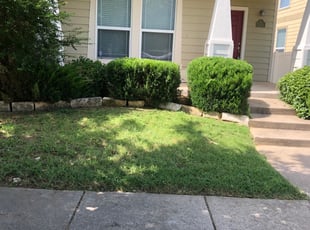 Bush Trimming by Kevin Capps for Nancy H. in Providence Village, TX