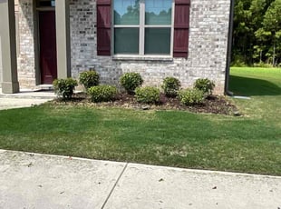 Bush Trimming by Ronald Jackson for Shawnell F. in Stonecrest, GA