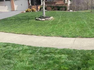Michael K.'s Lawn Service service result
