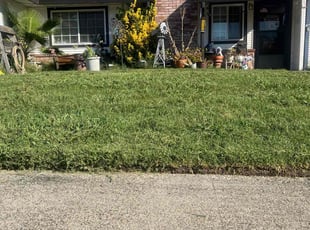 Melissa L.'s Lawn Care service result
