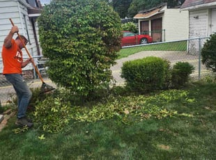 Bush Trimming by Richard Vonderau for Dolores B. in Cleveland, OH