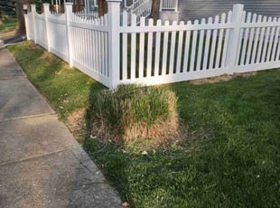 Bush Trimming by Bryan Robles for Bryan I. in Maple Shade, NJ