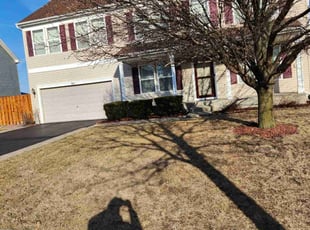 Leaf Removal by Rogelio Saenz for DEMOCCO A. in Joliet, IL